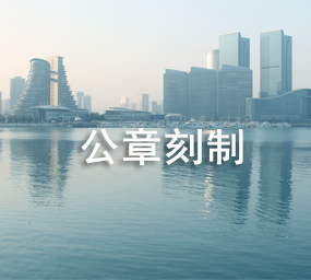 公章备案
